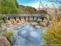 Boiling Beauty and Steamy Surprises: Exploring the Hells of Beppu