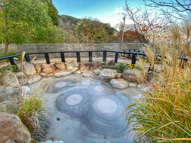 Boiling Beauty and Steamy Surprises: Exploring the Hells of Beppu