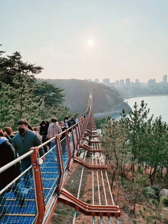 울산 하루 코스: 오전엔 숲, 오후엔 바다, 밤엔 관람차