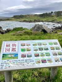An Active Day Out in Hachinohe – Nature, Trails & Local Flavors