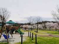 The Ōyasuba Kofun