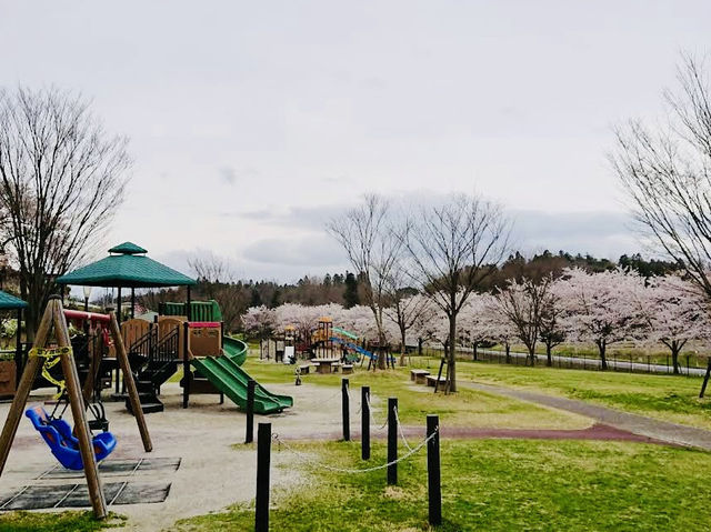 The Ōyasuba Kofun