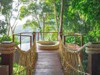 ‘Lan Na Wild’ ..สวรรค์กลางป่าใหญ่บนยอดดอย