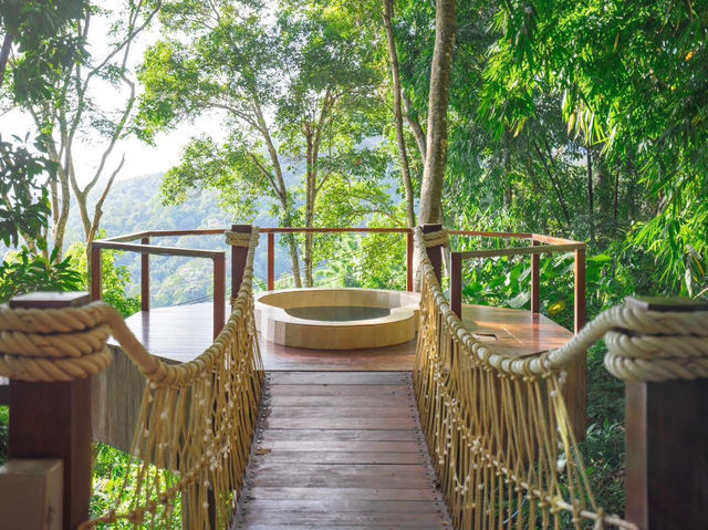 ‘Lan Na Wild’ ..สวรรค์กลางป่าใหญ่บนยอดดอย