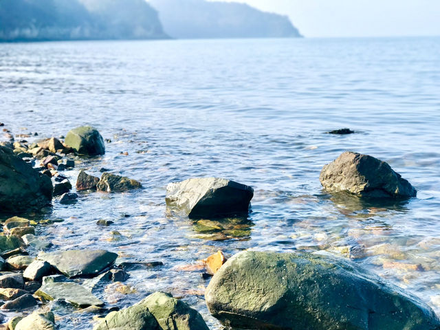 경주 감성 당일치기✨ 감포항부터 안압지 야경까지 알찬 코스