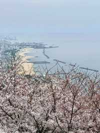 A Day in Nature in Suma, Kobe 🌊🌲
