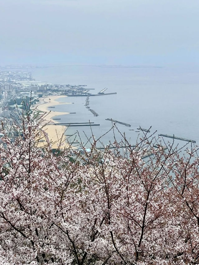A Day in Nature in Suma, Kobe 🌊🌲