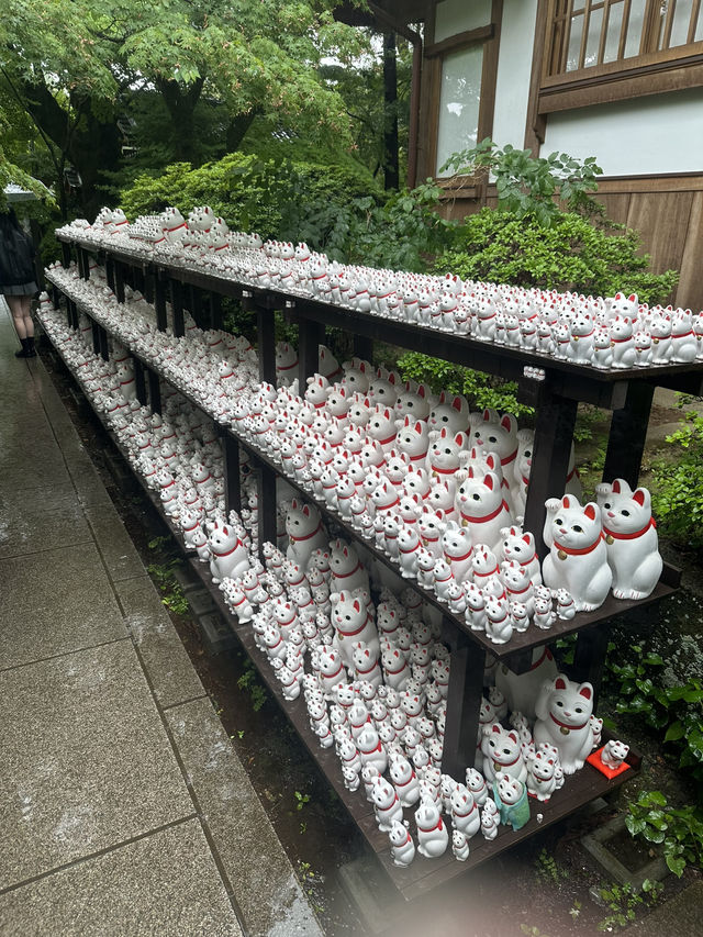#豪德寺#東京近郊#招財猫#必到景點