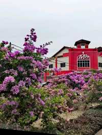 Agriculture town - Raub Pahang