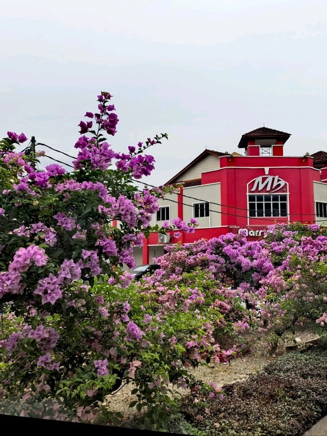 Agriculture town - Raub Pahang
