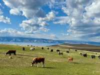 Lake Baikal in Summer: Siberia’s Secret Paradise of Turquoise Waters & Wild Adventures