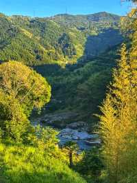 Oboke & Koboke: Japan’s Untamed Natural Wonder