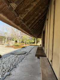 めっちゃいい雰囲気！京都・嵐山の古民家カフェ☕