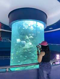 อะควาเรี่ยมบางแสน🐬🐠🪼✨