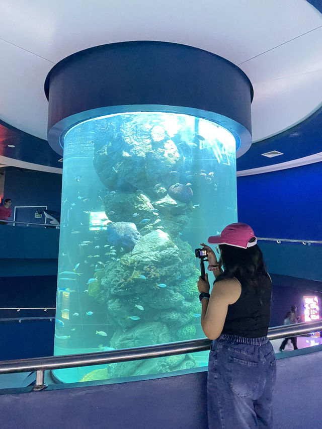 อะควาเรี่ยมบางแสน🐬🐠🪼✨
