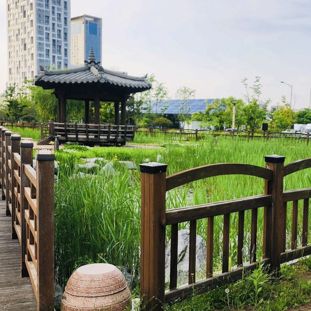 A Tranquil Urban Escape: A Review of Songdo Global Park 