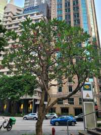 Art lovers, Go explore Raffles Place