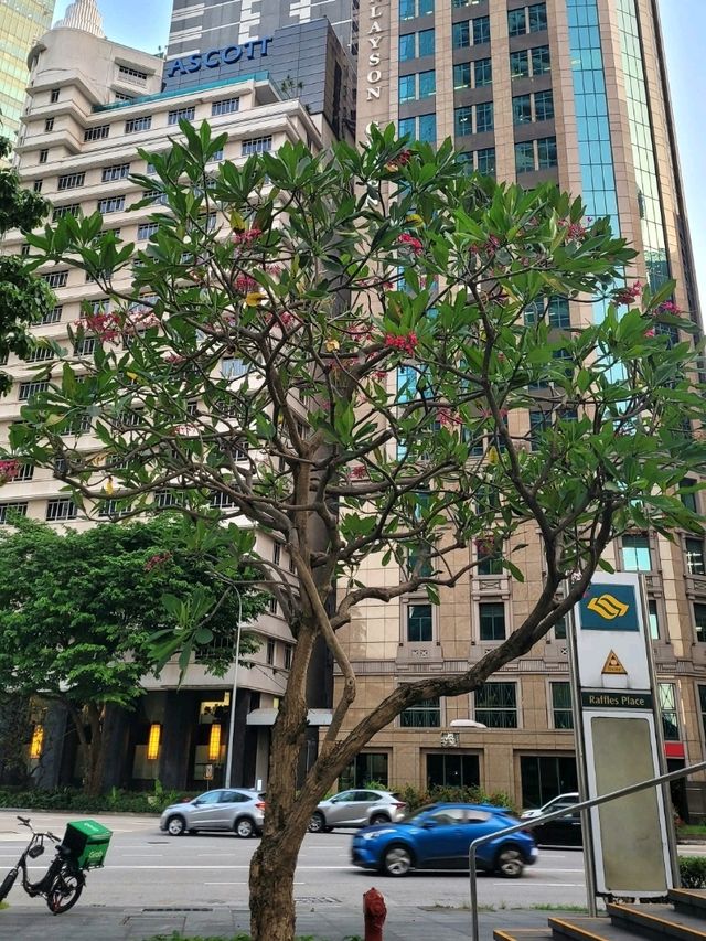 Art lovers, Go explore Raffles Place