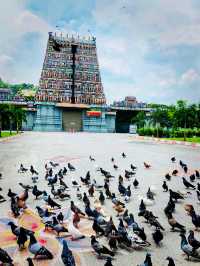 “Ipoh’s Divine Hilltop Gem: Kallumalai Temple Experience” 