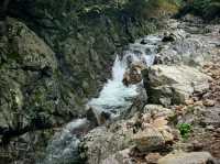 Into the Wild, Yongchu Valley