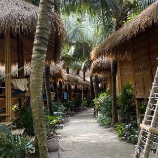 Phi Phi Islands: A Paradise of the Andaman You Must Visit!