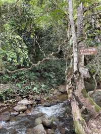My Cottage Chiangmai