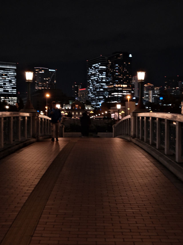 ライトアップが都会の喧騒を忘れさせる | 夜の中之島公園