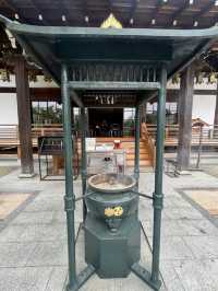 愛知]まるで京都のような竹林と紫陽花のコラボレーション🩵✨