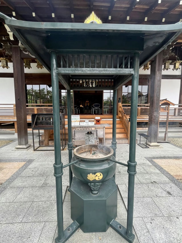 愛知]まるで京都のような竹林と紫陽花のコラボレーション🩵✨