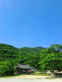 Hiking, Temples, and Vibes I Didn’t Expect