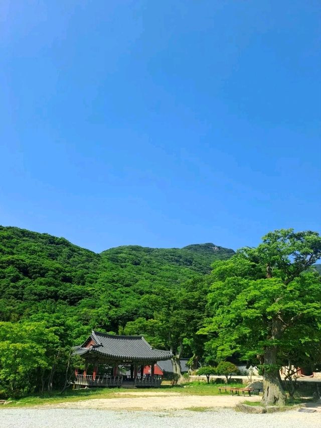 Hiking, Temples, and Vibes I Didn’t Expect