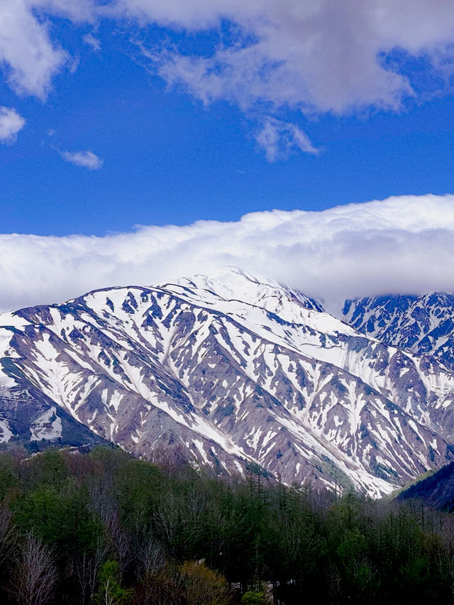 Hakuba IWATAKE Mountain ❤️