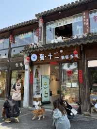 蘇州｜平江路 特色店家