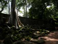 Tomb Raider Temple