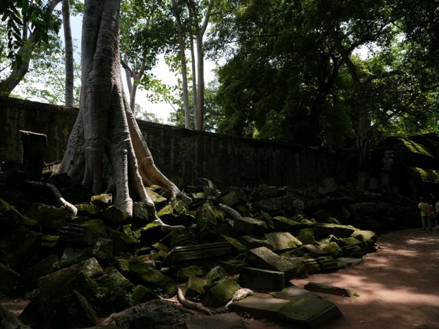 Tomb Raider Temple