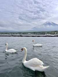 Kawaguchiko | Lake Yamanaka 🦢✨