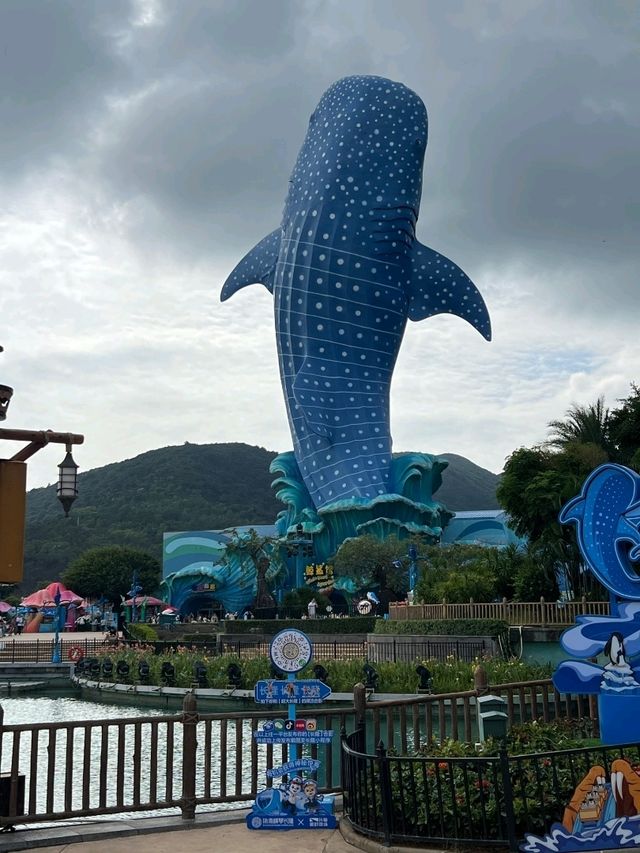 親子遊🇨🇳珠海長隆海洋王國🌊🐬🐋🐟全攻略