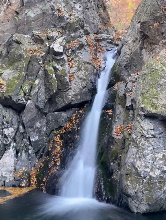 Peaceful Peaks & Forest Feels