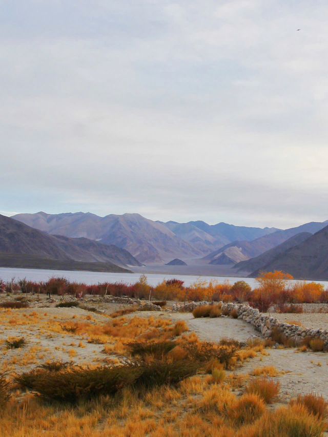 Touched the Sky in Ladakh