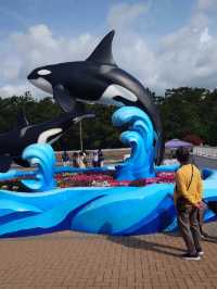 鴨川シーワールドで心がほどける旅