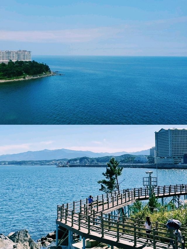 속초 롯데리조트 숙박 솔직 후기 – 탁 트인 바다와 여유로운 시간