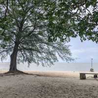 Penang National Park