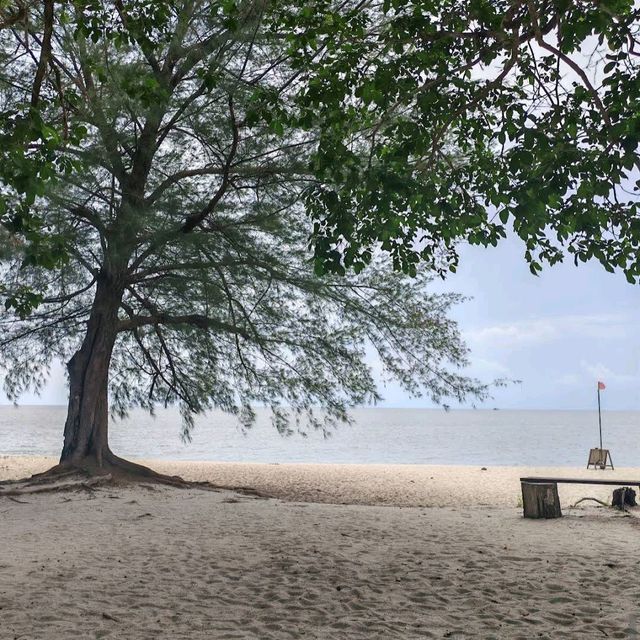 Penang National Park