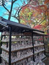 Gotokuji Temple วัดแมวกวัก