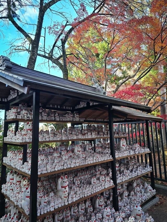 Gotokuji Temple วัดแมวกวัก
