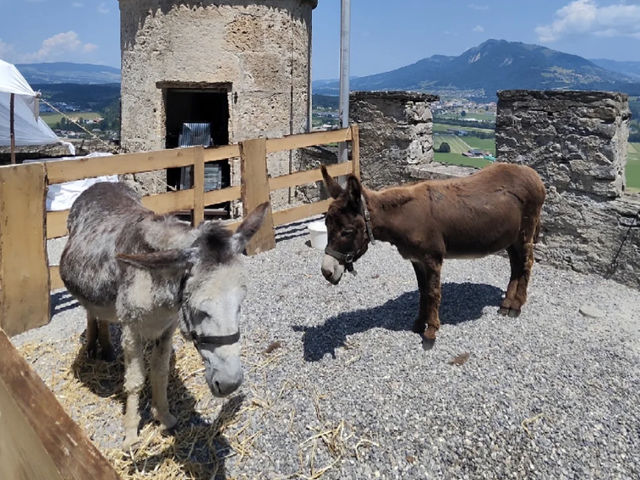 Gruyères Castle Medieval Festival & Cailler Chocolate Factory Day Trip! 🇨🇭🏰🍫
