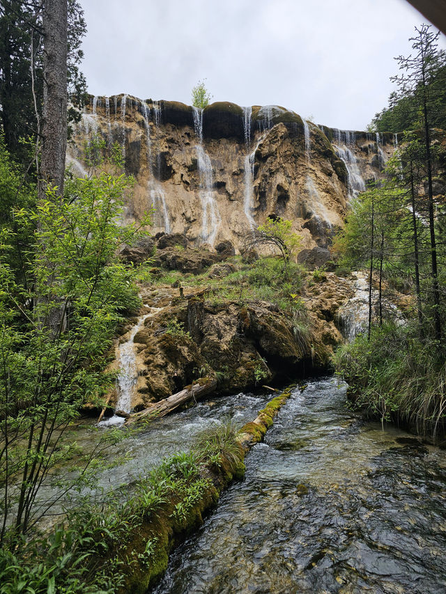 Ultimate Jiuzhaigou Valley Guide: China's Most Breathtaking UNESCO Paradise