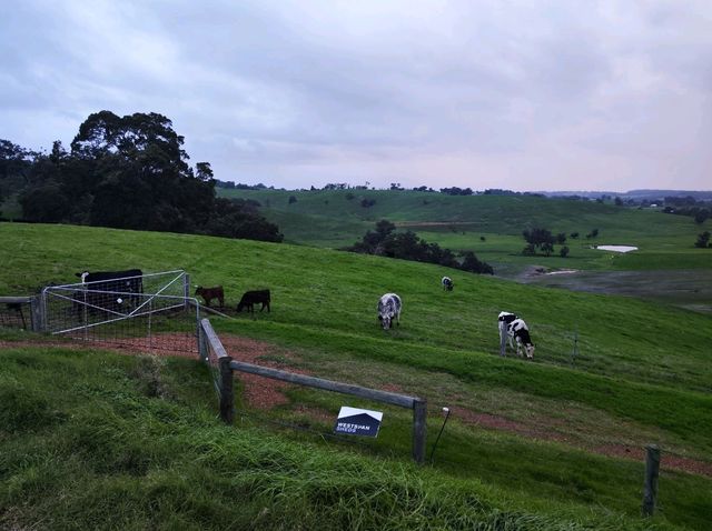Car Hire for Perth Travels to Ferguson Valley, WA Australia 