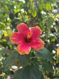 【緑と命にふれる旅🌿】福岡市動植物園でのんびり癒し時間
