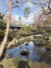 【レトロ建築の美学✨】旧三井倶楽部で優雅な時間旅行を